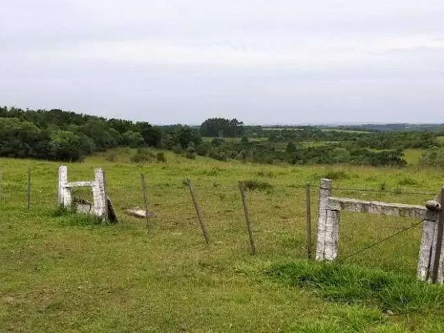 Sítio e chácara venda em Região Geográfica Imediata do Distrito Federal, Região Integrada de Desenvolvimento do Distrito Federal e Entorno