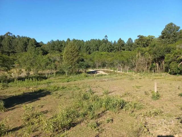 Sítio e chácara venda em Região Geográfica Imediata de Porto Alegre, Região Metropolitana de Porto Alegre