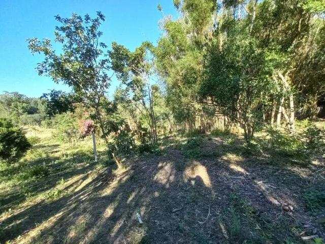 Sítio e chácara venda em Região Geográfica Imediata de Porto Alegre, Região Metropolitana de Porto Alegre
