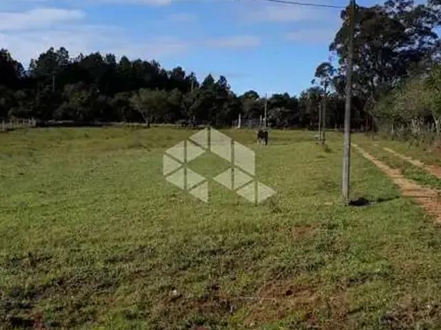 Sítio e chácara venda em Capororoca, Viamão