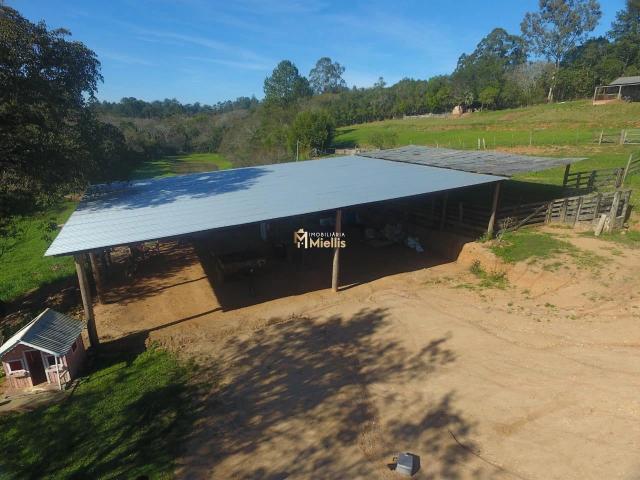 Sítio e chácara venda em Capororoca, Viamão