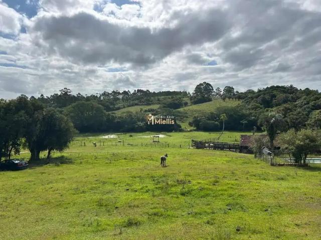 Sítio e chácara venda em Região Geográfica Imediata de Porto Alegre, Região Metropolitana de Porto Alegre