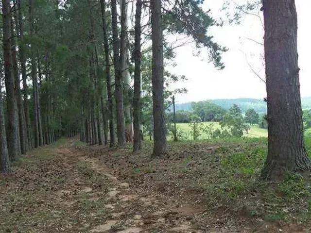 Sítio e chácara venda em Região Geográfica Imediata de Porto Alegre, Região Metropolitana de Porto Alegre