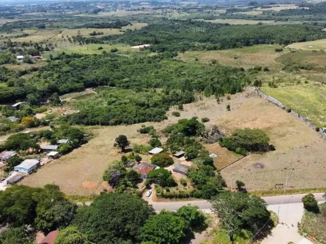 Sítio e chácara venda em Região Geográfica Imediata de Porto Alegre, Região Metropolitana de Porto Alegre