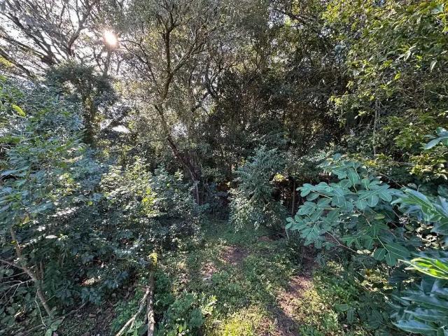 Sítio e chácara venda em Região Geográfica Imediata de Porto Alegre, Região Metropolitana de Porto Alegre