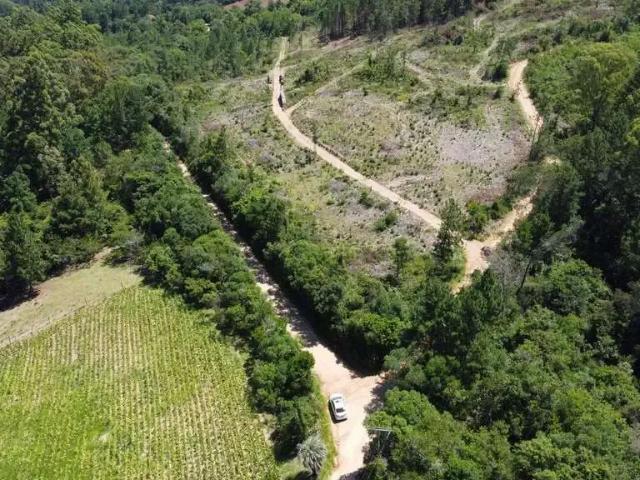 Sítio e chácara venda em Região Geográfica Imediata de Porto Alegre, Região Metropolitana de Porto Alegre