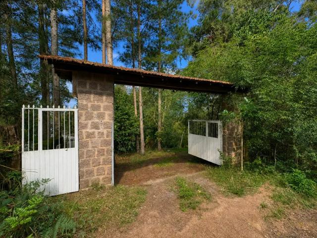 Sítio e chácara venda em Espigão, Viamão
