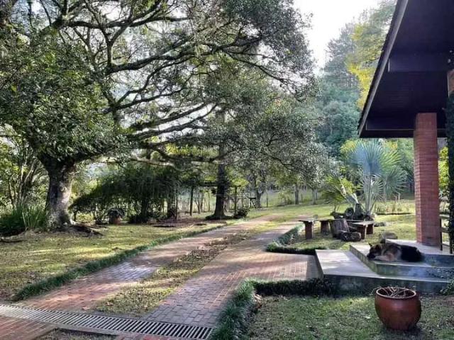 Sítio e chácara venda em Espigão, Viamão