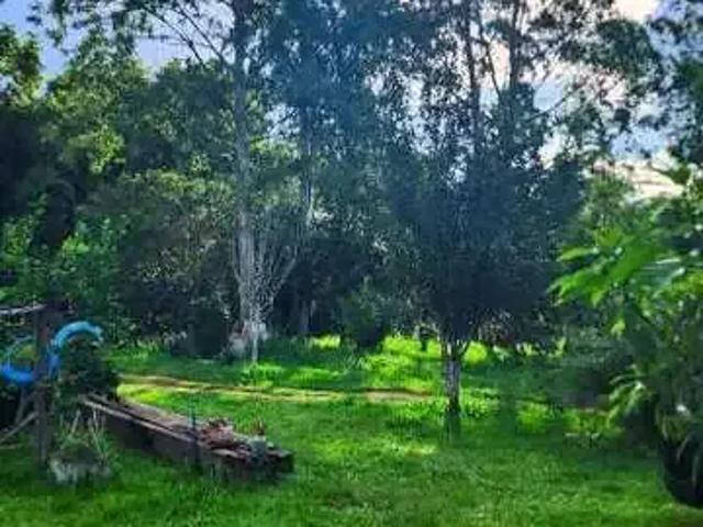 Sítio e chácara venda em Região Geográfica Imediata de Porto Alegre, Região Metropolitana de Porto Alegre