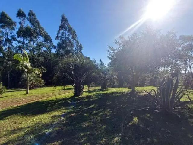Sítio e chácara venda em Região Geográfica Imediata de Porto Alegre, Região Metropolitana de Porto Alegre