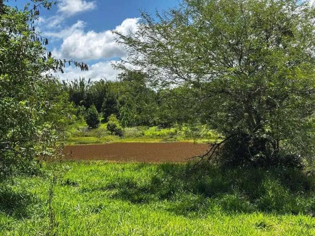 Sítio e chácara venda em Região Geográfica Imediata de Porto Alegre, Região Metropolitana de Porto Alegre