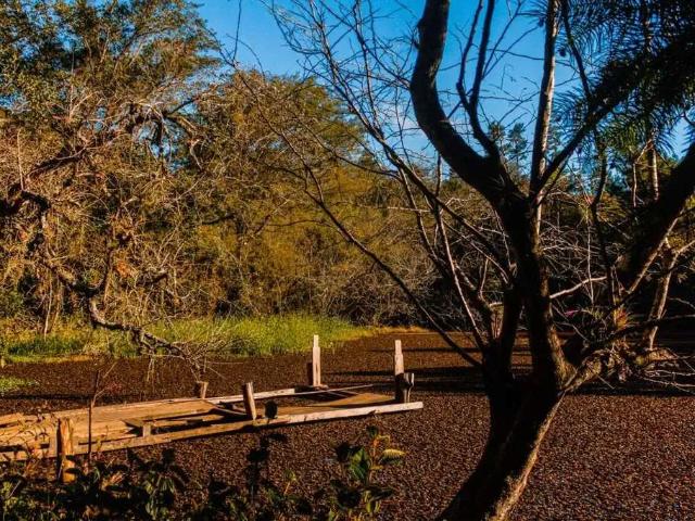 Sítio e chácara venda em Região Geográfica Imediata de Porto Alegre, Região Metropolitana de Porto Alegre