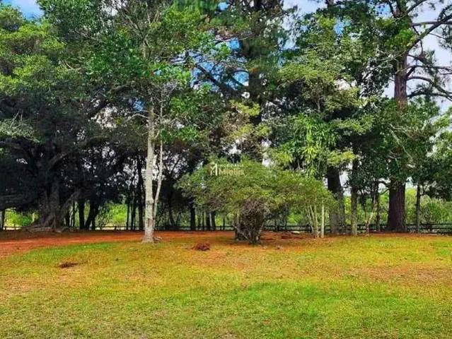 Sítio e chácara venda em Região Geográfica Imediata de Porto Alegre, Região Metropolitana de Porto Alegre