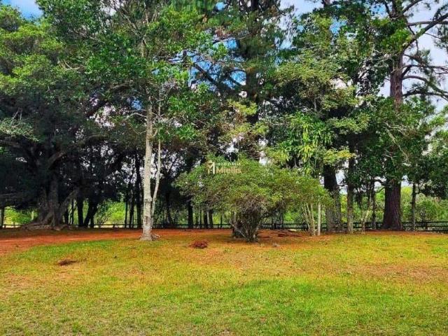 Sítio e chácara venda em Passo da Areia, Viamão