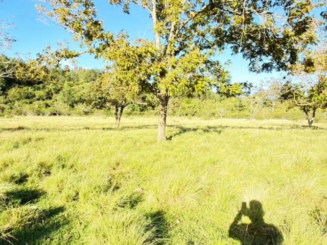 Sítio e chácara venda em Região Geográfica Imediata de Porto Alegre, Região Metropolitana de Porto Alegre