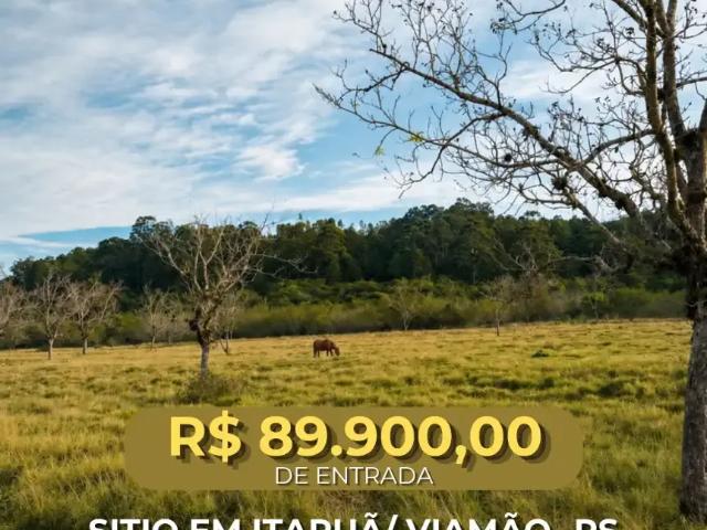 Sítio e chácara venda em Região Geográfica Imediata de Porto Alegre, Região Metropolitana de Porto Alegre