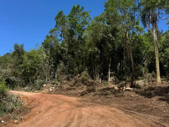 Sítio e chácara venda em Região Geográfica Imediata de Porto Alegre, Região Metropolitana de Porto Alegre
