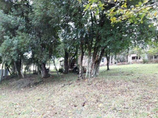 Sítio e chácara venda em Capororoca, Viamão