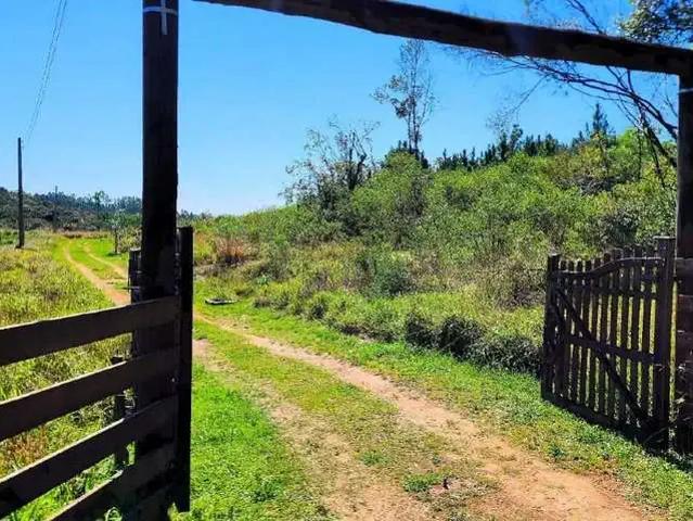 Sítio e chácara venda em Região Geográfica Imediata de Porto Alegre, Região Metropolitana de Porto Alegre