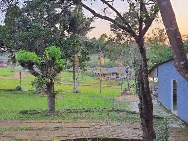 Sítio e chácara venda em Região Geográfica Imediata de Porto Alegre, Região Metropolitana de Porto Alegre