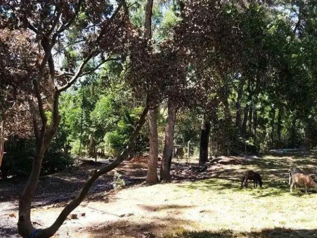 Sítio e chácara venda em Região Geográfica Imediata de Porto Alegre, Região Metropolitana de Porto Alegre