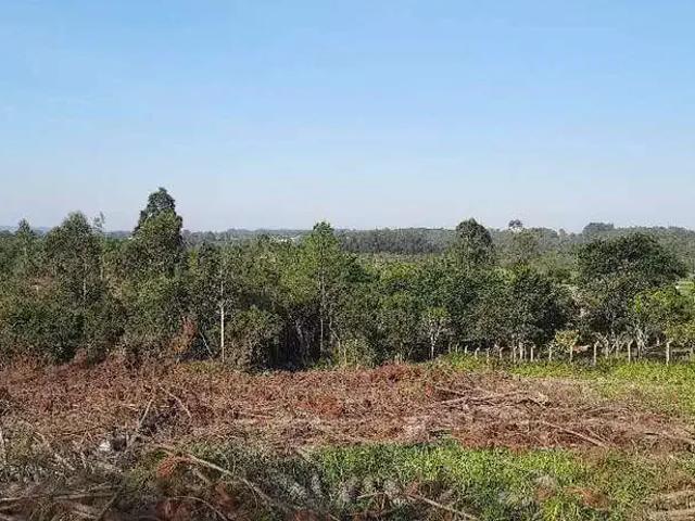 Sítio e chácara venda em Região Geográfica Imediata de Porto Alegre, Região Metropolitana de Porto Alegre