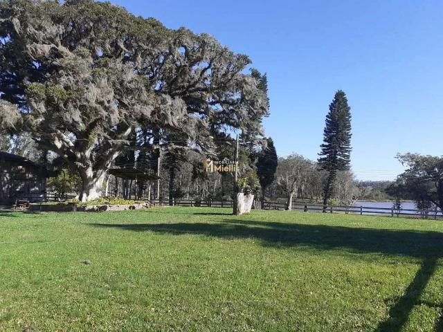 Sítio e chácara venda em Região Geográfica Imediata de Porto Alegre, Região Metropolitana de Porto Alegre