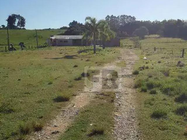 Sítio e chácara venda em Sede, Viamão