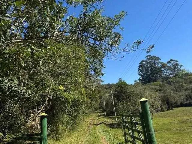 Sítio e chácara venda em Região Geográfica Imediata de Porto Alegre, Região Metropolitana de Porto Alegre
