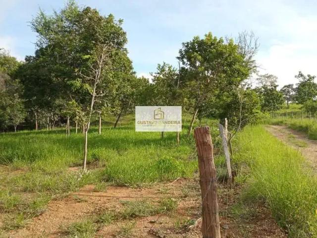 Sítio e chácara venda em Região Geográfica Imediata de Anápolis, Vianópolis