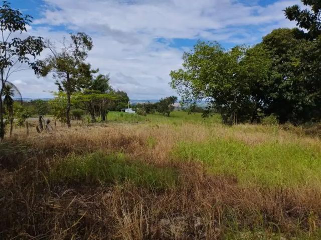 Sítio e chácara venda em Região Geográfica Imediata de Anápolis, Vianópolis