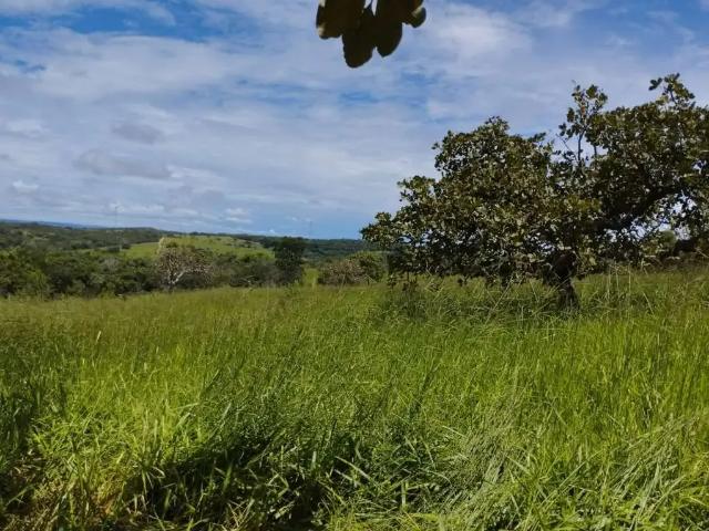 Sítio e chácara venda em Região Geográfica Imediata de Anápolis, Vianópolis