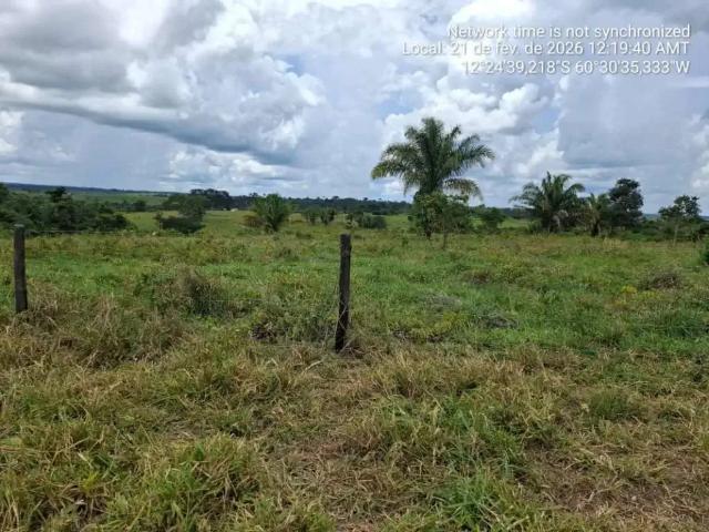 Sítio e chácara venda em Vilhena, Região Norte