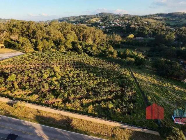 Sítio e chácara venda em Vinhedo