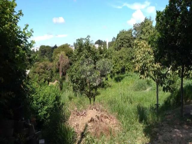 Sítio e chácara venda em Região Imediata de Campinas, Região Metropolitana de Campinas