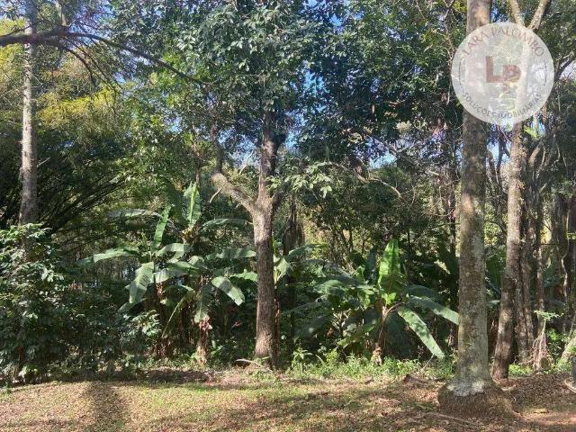 Sítio e chácara venda em Região Imediata de Campinas, Região Metropolitana de Campinas
