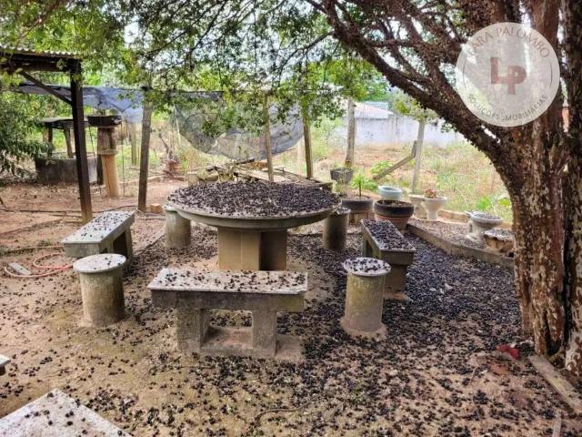 Sítio e chácara venda em Região Imediata de Campinas, Região Metropolitana de Campinas
