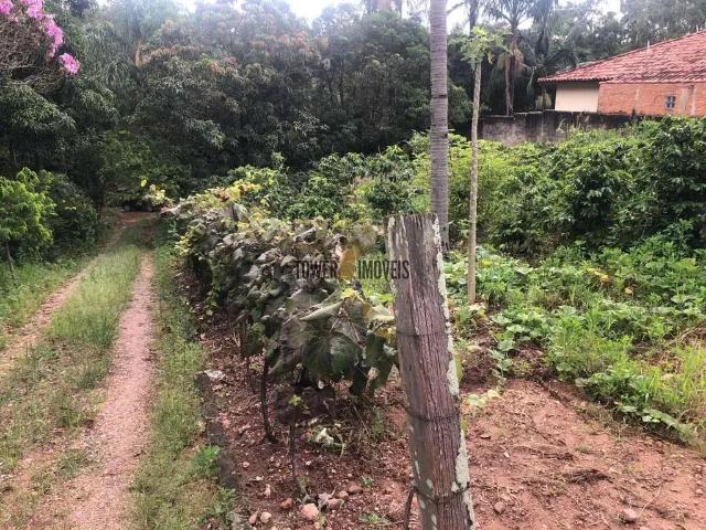 Sítio e chácara venda em Região Imediata de Campinas, Região Metropolitana de Campinas