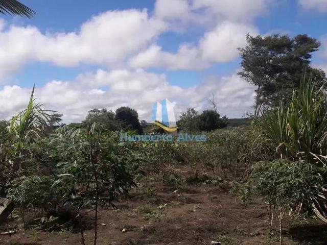 Sítio e chácara venda em Região Geográfica Imediata de Vitória da Conquista, Teodoro Sampaio