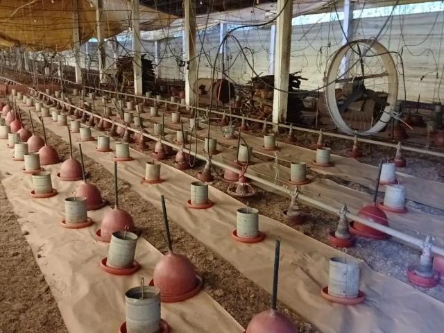 Sítio e chácara venda em Vitória de Santo Antão