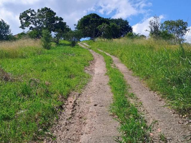 Sítio e chácara venda em Região Geográfica Imediata de Vitória de Santo Antão, Vitória de Santo Antão