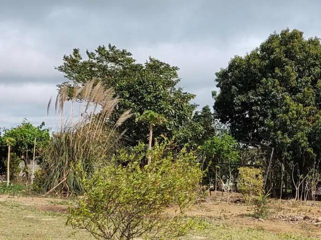 Sítio e chácara venda em Região Imediata de Sorocaba, Região Metropolitana de Sorocaba