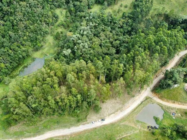 Sítio e chácara venda em Região Geográfica Imediata de Ibirama-Presidente Getúlio, Witmarsum