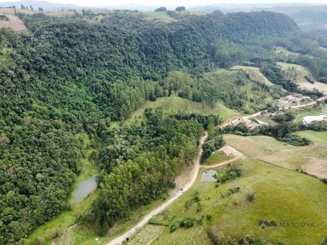 Sítio e chácara venda em Região Geográfica Imediata de Ibirama-Presidente Getúlio, Witmarsum