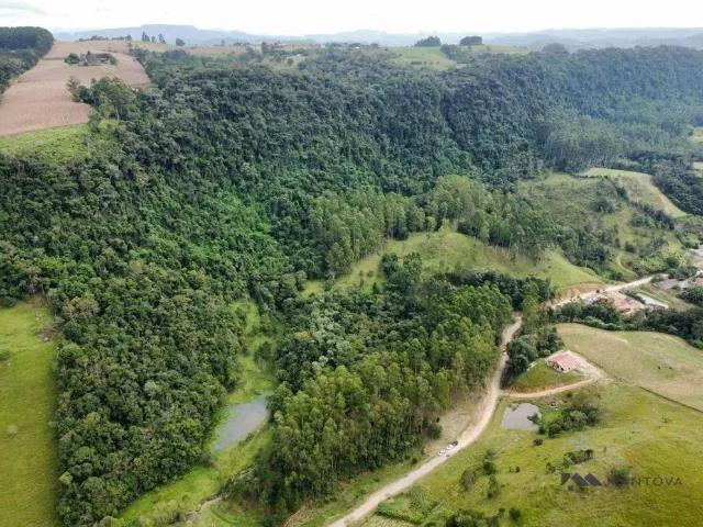 Sítio e chácara venda em Região Geográfica Imediata de Ibirama-Presidente Getúlio, Witmarsum