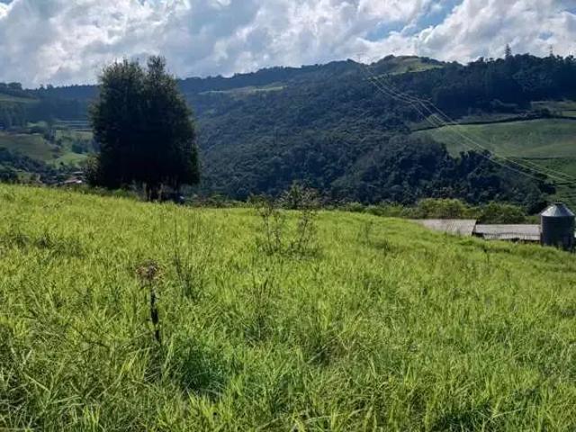 Sítio e chácara venda em Região Geográfica Imediata de Xanxerê, Xavantina