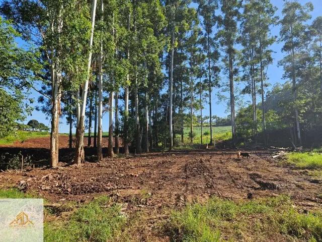 Sítio e chácara venda em Região Geográfica Imediata de Chapecó, Xaxim