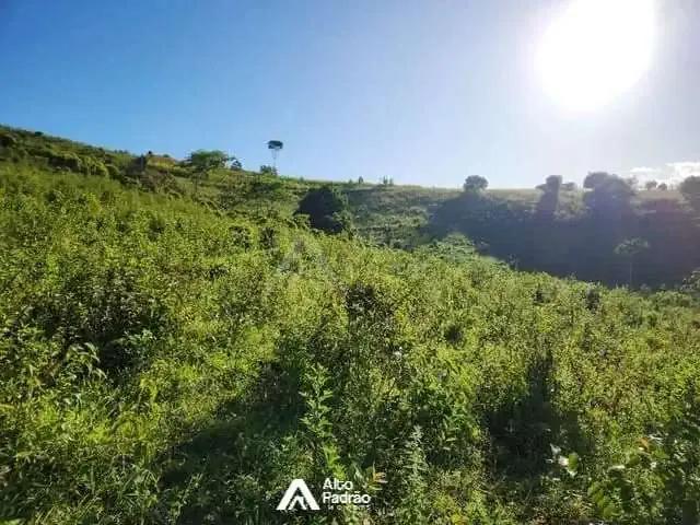 Sítio e chácara venda em Xexéu, Região Nordeste