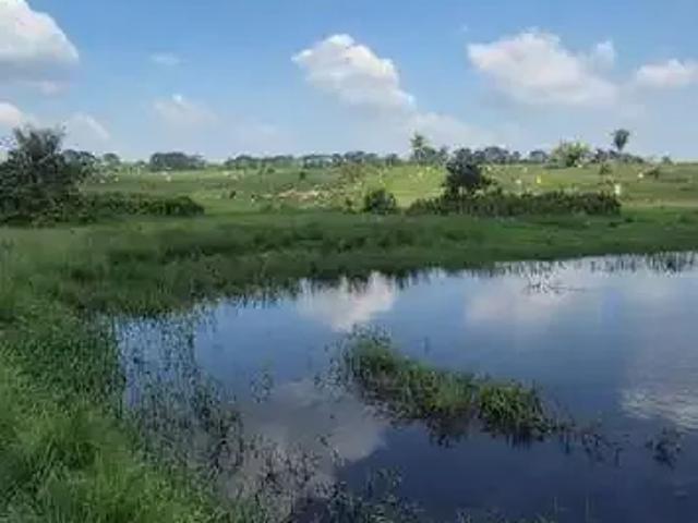 Sítio e chácara venda em Região Norte