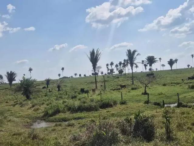 Sítio e chácara venda em Região Norte